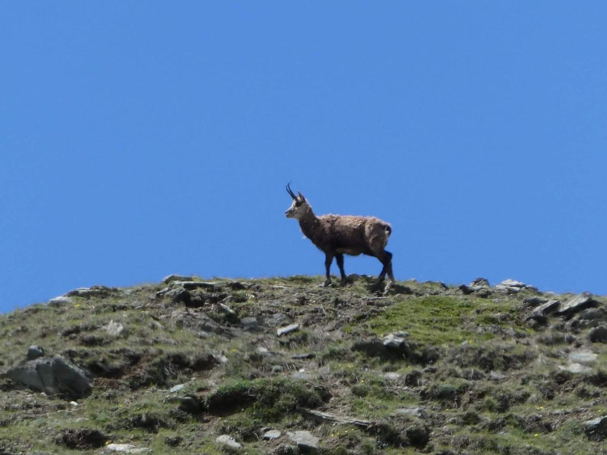 Aosta Maisongnemaz Luaran gambar